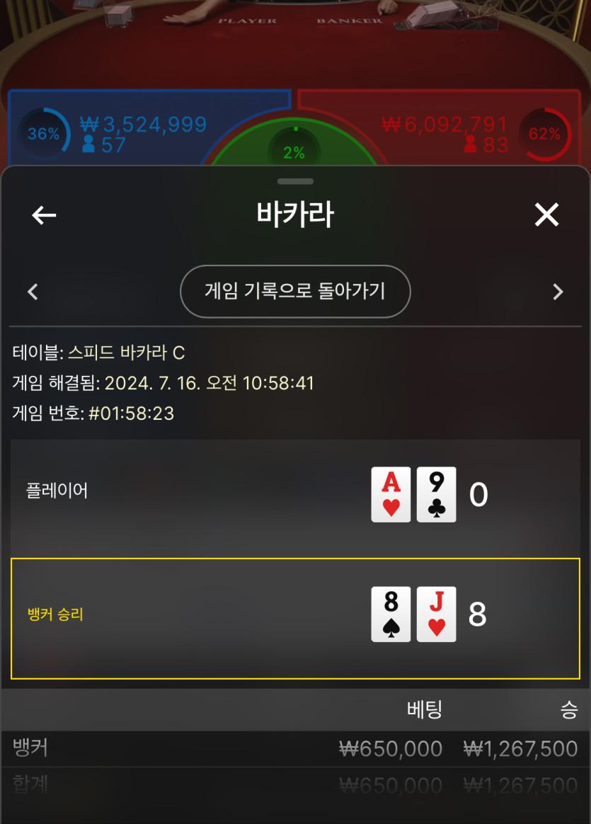 빅카 후기